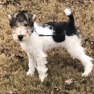 Meet your Posher, Tammie